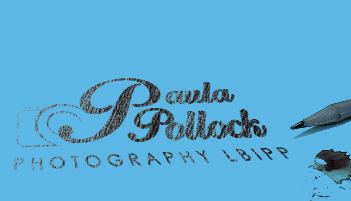 Our Work for Paula Pollock Photography Cheshire