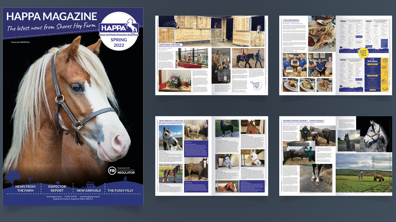 HAPPA Bi-Annual Magazine Design