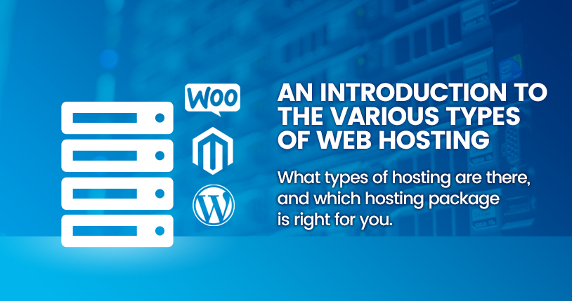 Featured image for “Types of Web Hosting: Find the Best Option for Your Website”