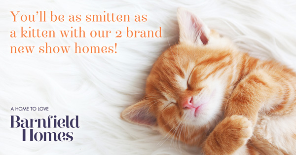 Barnfield Homes Graphic Design Lancashire by CMS Live Web Specialists