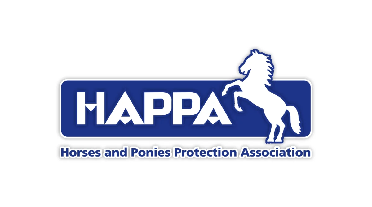 HAPPA and CMS Live Web Specialists in Burnley