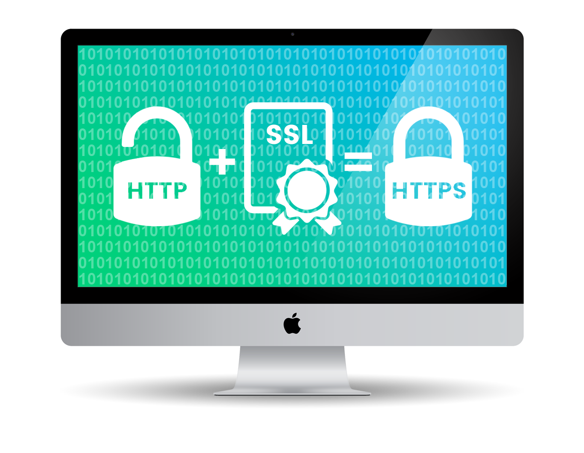 HTTPS & SSL Encryption with CMS Live Web Specialists