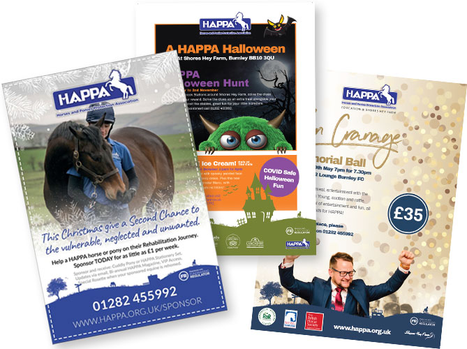 HAPPA Leaflet Design by CMS Live Web Specialists