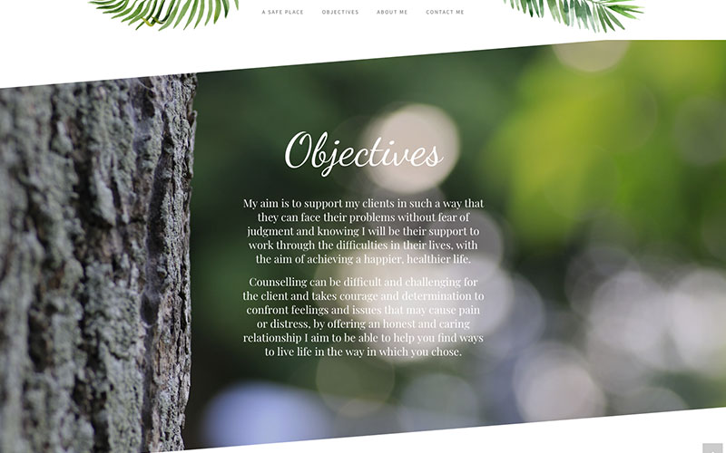 Susan Graham Therapies Wordpress Website Design Earby by CMS Live Web Specialists