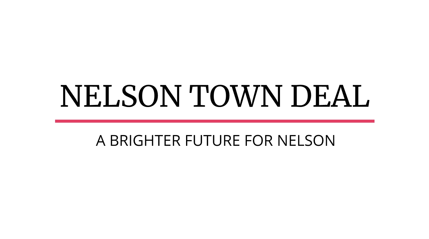 Featured image for “The Nelson Town Bid Website Design”
