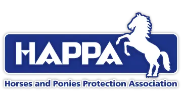 HAPPA and CMS Live Web Specialists in Burnley