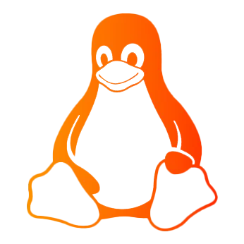 OS: Linux Enterprise (CentOS 7.7.1908)